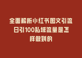 全面解析小红书图文引流日引100私域流量是怎样做到的868网课-868网课系统868网课系统