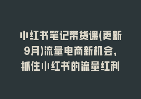 小红书笔记带货课(更新9月)流量电商新机会，抓住小红书的流量红利868网课-868网课系统868网课系统