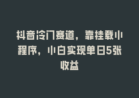 抖音冷门赛道，靠挂载小程序，小白实现单日5张收益868网课-868网课系统868网课系统