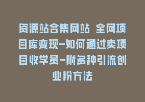 资源站合集网站 全网项目库变现-如何通过卖项目收学员-附多种引流创业粉方法868网课-868网课系统868网课系统