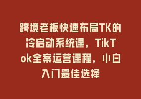 跨境老板快速布局TK的冷启动系统课，TikTok全案运营课程，小白入门最佳选择868网课-868网课系统868网课系统