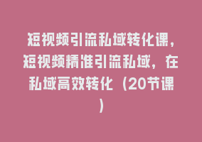 短视频引流私域转化课，短视频精准引流私域，在私域高效转化（20节课）868网课-868网课系统868网课系统