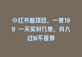 小红书新项目，一单199 一天买好几单，月入过W不是梦868网课-868网课系统868网课系统