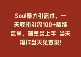 Soul暴力引流术，一天轻松引流100+精准流量，简单易上手 当天操作当天见效果!868网课-868网课系统868网课系统