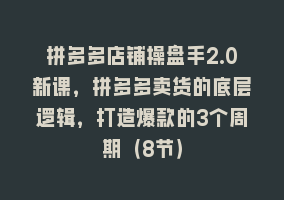 拼多多店铺操盘手2.0新课，拼多多卖货的底层逻辑，打造爆款的3个周期（8节）868网课-868网课系统868网课系统