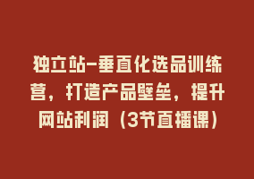 独立站-垂直化选品训练营，打造产品壁垒，提升网站利润（3节直播课）868网课-868网课系统868网课系统