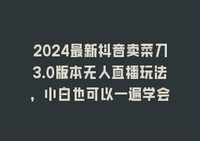 2024最新抖音卖菜刀3.0版本无人直播玩法，小白也可以一遍学会868网课-868网课系统868网课系统