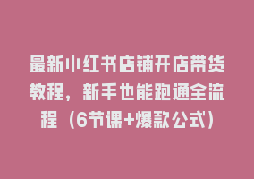 最新小红书店铺开店带货教程，新手也能跑通全流程（6节课+爆款公式）868网课-868网课系统868网课系统