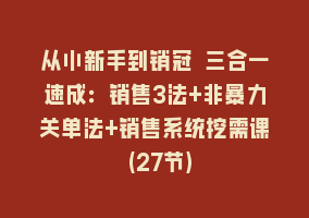 从小新手到销冠 三合一速成：销售3法+非暴力关单法+销售系统挖需课 (27节)868网课-868网课系统868网课系统