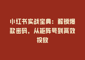 小红书实战宝典：解锁爆款密码，从矩阵号到高效投放868网课-868网课系统868网课系统