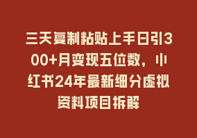 三天复制粘贴上手日引300+月变现五位数，小红书24年最新细分虚拟资料项目拆解868网课-868网课系统868网课系统