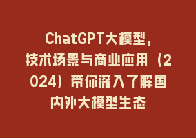 ChatGPT大模型，技术场景与商业应用（2024）带你深入了解国内外大模型生态868网课-868网课系统868网课系统