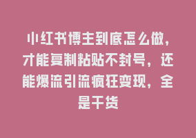 小红书博主到底怎么做，才能复制粘贴不封号，还能爆流引流疯狂变现，全是干货868网课-868网课系统868网课系统