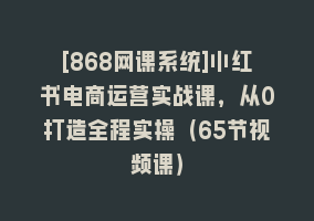 [868网课系统]小红书电商运营实战课，从0打造全程实操（65节视频课）868网课-868网课系统868网课系统