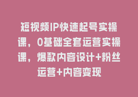 短视频IP快速起号实操课，0基础全套运营实操课，爆款内容设计+粉丝运营+内容变现868网课-868网课系统868网课系统