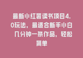 最新小红薯读书项目4.0玩法，最适合新手小白 几分钟一条作品，轻松简单868网课-868网课系统868网课系统