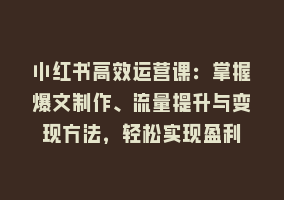 小红书高效运营课：掌握爆文制作、流量提升与变现方法，轻松实现盈利868网课-868网课系统868网课系统