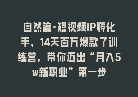 自然流·短视频IP孵化手，14天百万爆款了训练营，带你迈出“月入5w新职业”第一步868网课-868网课系统868网课系统