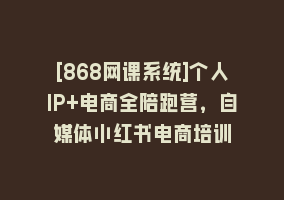 [868网课系统]个人IP+电商全陪跑营，自媒体小红书电商培训868网课-868网课系统868网课系统