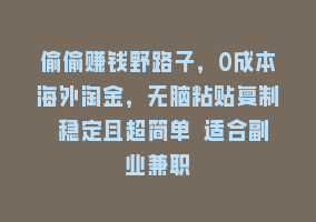 偷偷赚钱野路子，0成本海外淘金，无脑粘贴复制 稳定且超简单 适合副业兼职868网课-868网课系统868网课系统