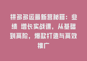 拼多多运最新营秘籍：业绩 增长实战课，从基础到高阶，爆款打造与高效推广868网课-868网课系统868网课系统