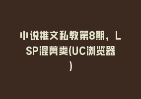 小说推文私教第8期，LSP混剪类(UC浏览器)868网课-868网课系统868网课系统