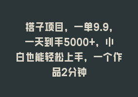 搭子项目，一单9.9，一天到手5000+，小白也能轻松上手，一个作品2分钟868网课-868网课系统868网课系统