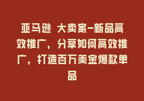 亚马逊 大卖家-新品高效推广，分享如何高效推广，打造百万美金爆款单品868网课-868网课系统868网课系统