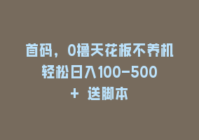 首码，0撸天花板不养机轻松日入100-500+ 送脚本868网课-868网课系统868网课系统