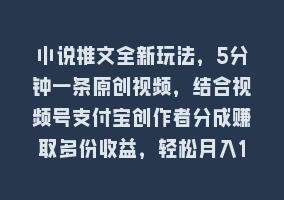 小说推文全新玩法，5分钟一条原创视频，结合视频号支付宝创作者分成赚取多份收益，轻松月入1W+868网课-868网课系统868网课系统