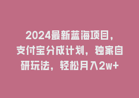 2024最新蓝海项目，支付宝分成计划，独家自研玩法，轻松月入2w+868网课-868网课系统868网课系统