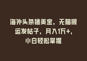 海外头条撸美金，无脑搬运发帖子，月入1万+，小白轻松掌握868网课-868网课系统868网课系统