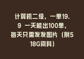 计算机二级，一单19.9 一天能出100单，每天只需发发图片（附518G资料）868网课-868网课系统868网课系统