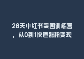 28天小红书突围训练营，从0到1快速涨粉变现868网课-868网课系统868网课系统