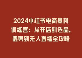 2024小红书电商暴利训练营：从开店到选品，混剪到无人直播全攻略868网课-868网课系统868网课系统