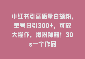 小红书引高质量白领粉，单号日引300+，可放大操作，爆粉秘籍！30s一个作品868网课-868网课系统868网课系统