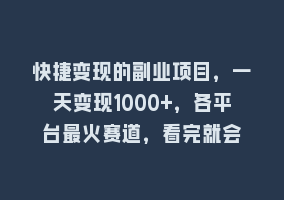 快捷变现的副业项目，一天变现1000+，各平台最火赛道，看完就会868网课-868网课系统868网课系统