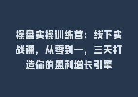 操盘实操训练营：线下实战课，从零到一，三天打造你的盈利增长引擎868网课-868网课系统868网课系统