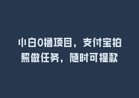 小白0撸项目，支付宝拍照做任务，随时可提款868网课-868网课系统868网课系统