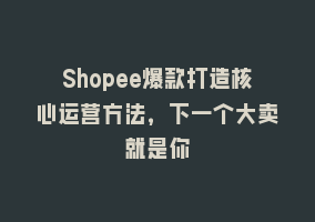 Shopee爆款打造核心运营方法，下一个大卖就是你868网课-868网课系统868网课系统