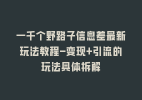 一千个野路子信息差最新玩法教程-变现+引流的玩法具体拆解868网课-868网课系统868网课系统