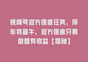 视频号官方保底任务，停车我最牛，官方保底只要做就有收益【揭秘】868网课-868网课系统868网课系统