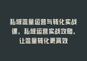 私域流量运营与转化实战课，私域运营实战攻略，让流量转化更高效868网课-868网课系统868网课系统