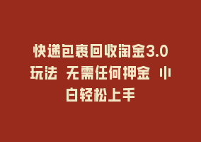 快递包裹回收淘金3.0玩法 无需任何押金 小白轻松上手868网课-868网课系统868网课系统