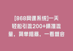 [868网课系统]一天轻松引流200+精准流量，简单粗暴，一看就会868网课-868网课系统868网课系统