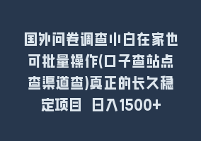 国外问卷调查小白在家也可批量操作(口子查站点查渠道查)真正的长久稳定项目 日入1500+868网课-868网课系统868网课系统