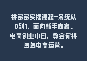 拼多多实操课程-系统从0到1，面向新手商家、电商创业小白，教会你拼多多电商运营。868网课-868网课系统868网课系统