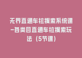 无界直通车拉搜索系统课-各类目直通车拉搜索玩法（5节课）868网课-868网课系统868网课系统