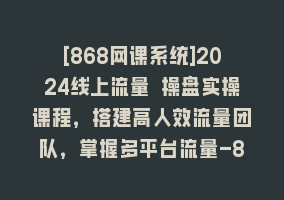 [868网课系统]2024线上流量 操盘实操课程，搭建高人效流量团队，掌握多平台流量-8节课868网课-868网课系统868网课系统