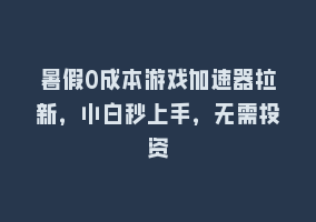 暑假0成本游戏加速器拉新，小白秒上手，无需投资868网课-868网课系统868网课系统